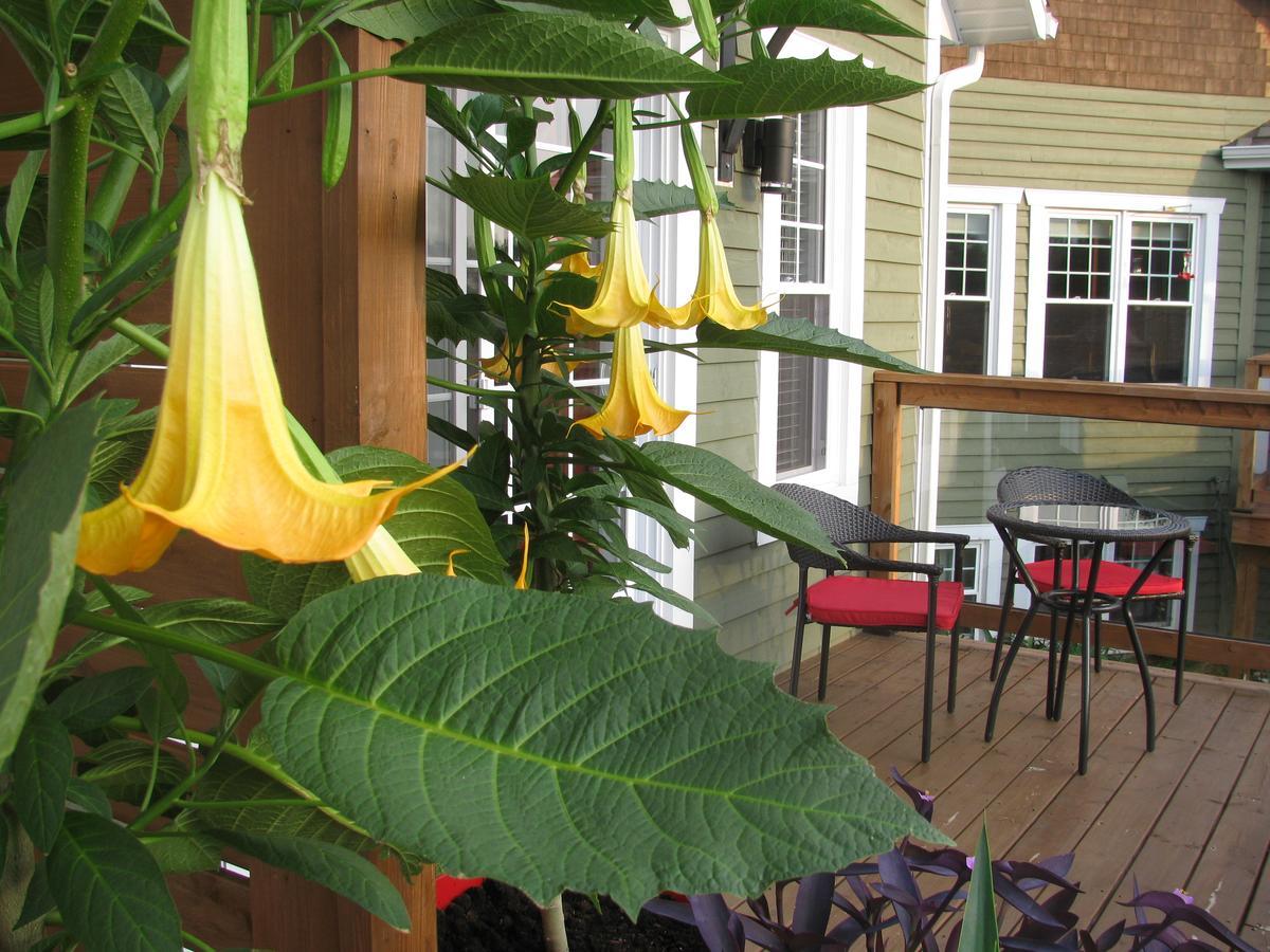 Gi'Temps Couette Et Cafe B&B Granby Ngoại thất bức ảnh